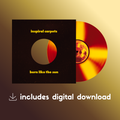 Inspiral Carpets - 'Burn Like The Sun' - 'Solar Flare' Vinyl + Digital Download